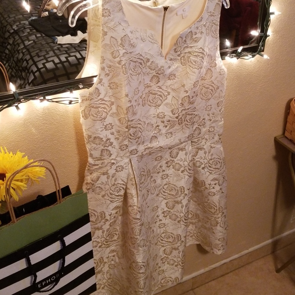 Charming Charlie's Formal Dress